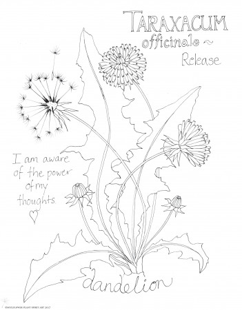 Dandelion (Release) Coloring Page - My Soulflower