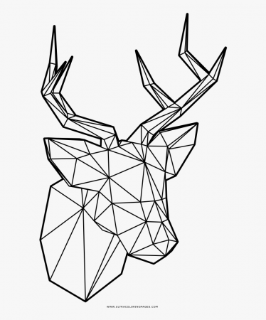 Low Poly Deer Coloring Page - Poly Art Coloring Pages, HD Png Download -  kindpng