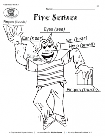 5 Senses Coloring Page