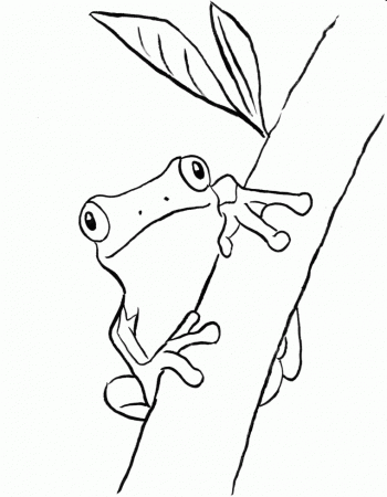 Tree Frog - Coloring Pages for Kids and for Adults