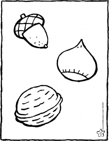 acorn, chestnut and walnut - kiddicolour | Eicheln, Ausmalen, Basteln mit  naturmaterialien