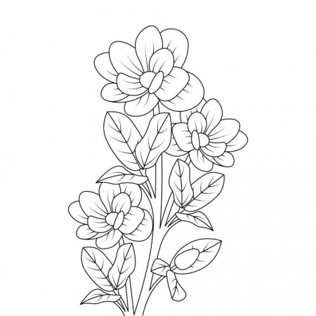 flower coloring page outline hand drawing botanical educational design  7746170 Vector Art at Vecteezy