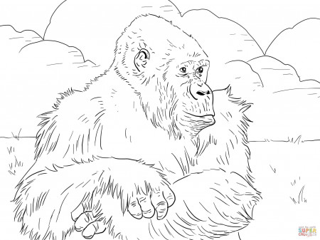 Mountain Gorilla coloring page | Free Printable Coloring Pages