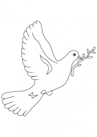 11 Pics of Dove Coloring Pages - Dove Coloring Page, Mourning Dove ...