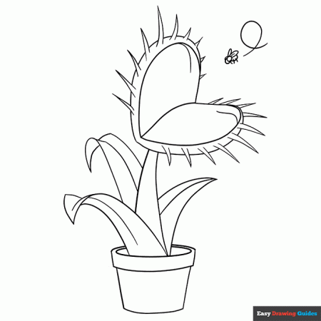 Venus Flytrap Coloring Page | Easy Drawing Guides