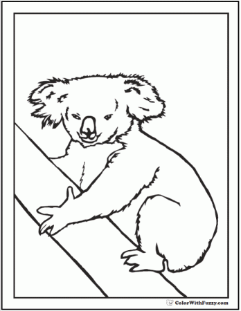 Koala Coloring Pages For Kids: Hop A Ride With a Koala!