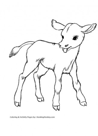 Get This Cow Animal Coloring Pages Baby Cow Drawing for Kids !