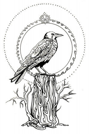 Crow Drawing at PaintingValley.com | Explore collection of Crow ...