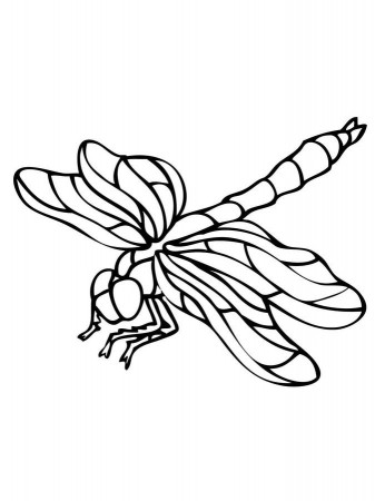 Coloring pages: Coloring pages: Dragonfly, printable for kids & adults, free