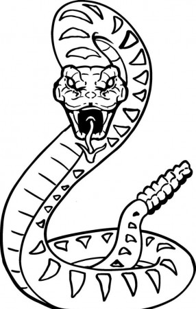 Free Printable 10 Rattlesnake Coloring Pages (With images) | Snake coloring  pages, Snake drawing, Animal coloring pages