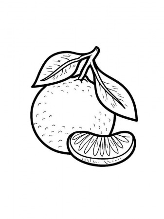 Mandarin (Tangerine) coloring pages. Download and print Mandarin(Tangerine) coloring  pages.