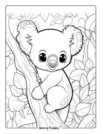 Koala Coloring Pages | Animal coloring ...