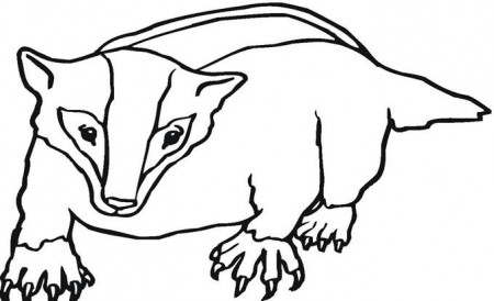 badger coloring page #badger coloring page #coloringpages ...