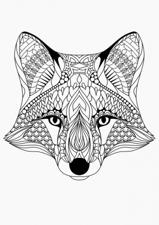 Printable Detailed Fox Coloring Pages