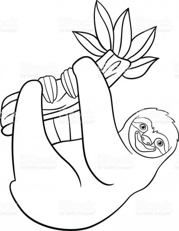 Sloth Animal Coloring Pages Baby Sloth Coloring Page – NEO Coloring