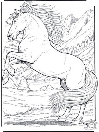 realistic animal coloring pages | Horse coloring pages, Animal ...
