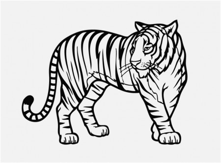 The Suitable Design Realistic Animal Coloring Pages Delicious ...