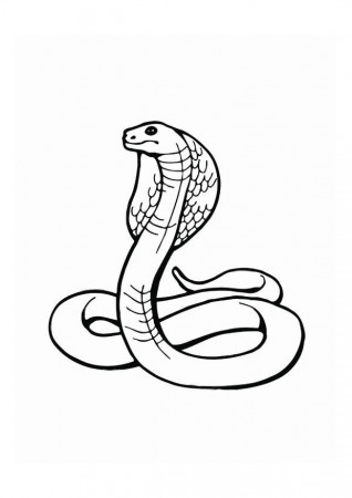 Coloring page cobra - img 12539.