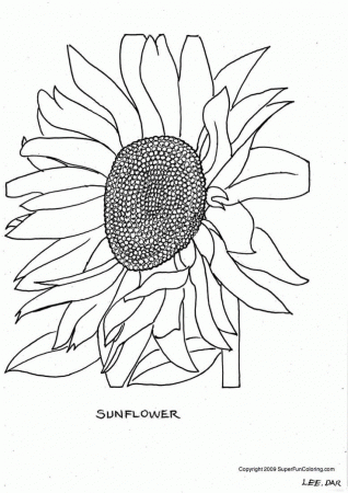 sunflower coloring pages - Bing Images | Coloring Book Pages | Pinter…
