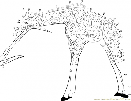 Connect The Dots Giraffe Tattoo Page 2