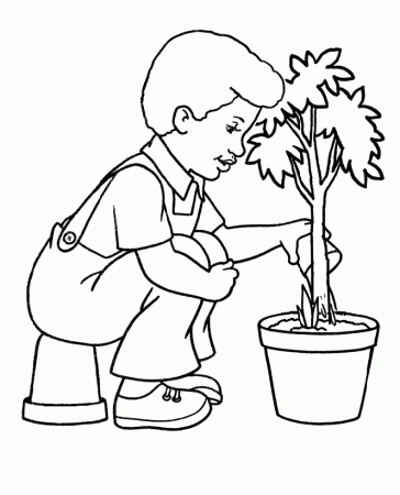 Arbor Day : Watering Flowers Coloring Pages, Study Trees On Arbor 