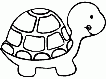 Turtle coloring page - Animals Town - animals color sheet - Turtle 