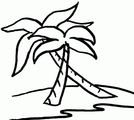 teressaqueen: palm tree clipart