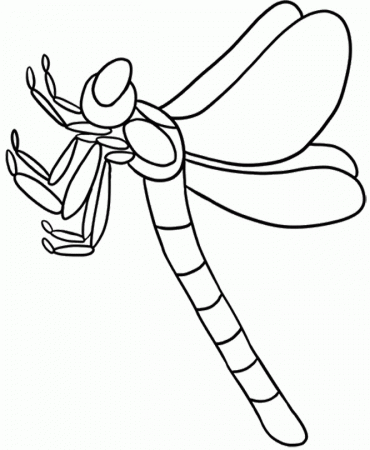 Animal Coloring Pages : A Beautiful Dragonfly Coloring Page Kids 