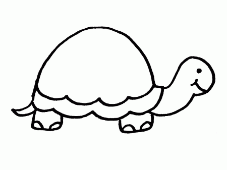 Tortoise Coloring Pages - Coloringpages1001.