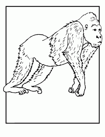 Wild Animals Coloring Pages Free Printable Download | Coloring 