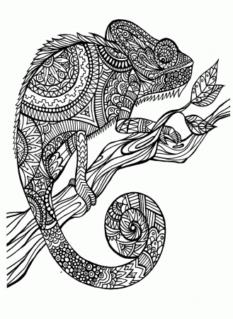 Animal - Coloring Pages for adults : coloring-adult-cameleon ...