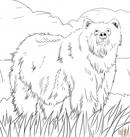 alaskan grizzly bear. free bear printable coloring pages for ...