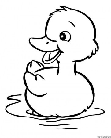 Cute Baby Duck Coloring Page » Turkau