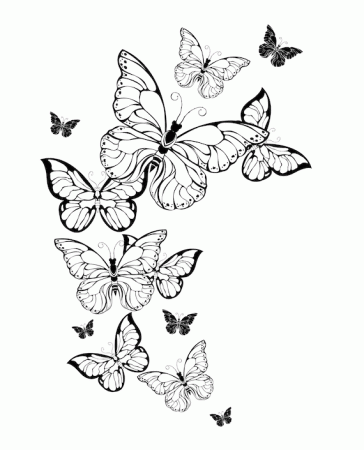 Butterfly Coloring Pages Butterfly Coloring Book for Adults - Etsy