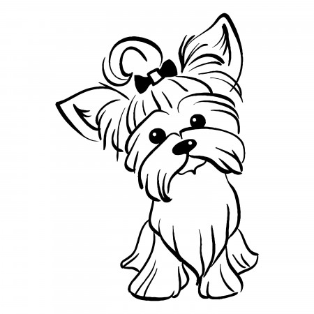 Yorkshire Terrier 3 Puppy Peeking Yorkie Dog Breed K-9 - Etsy