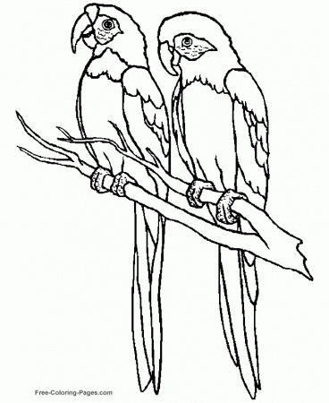 Easy Color Pages Of Birds Az Coloring Pages, Level Coloring Pages ...