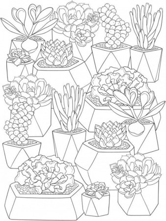 Succulent Coloring Ebook | Detailed coloring pages, Pattern coloring pages,  Flower coloring pages