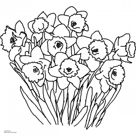Daffodil Spring Flower Coloring Page