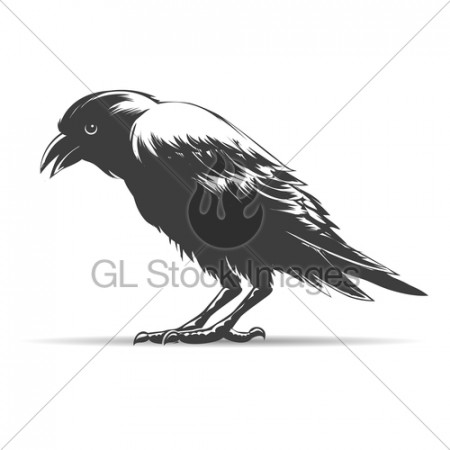 Hand Drawn Crow Illustration · GL Stock Images