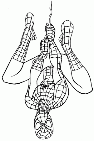 10 Wonderful Spider man Coloring Pages Your Toddler Will Love | Spiderman  coloring, Superhero coloring pages, Marvel coloring