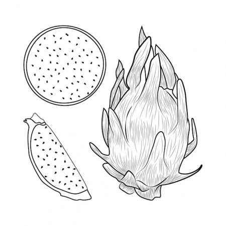 Premium Vector | Dragon fruits coloring ...