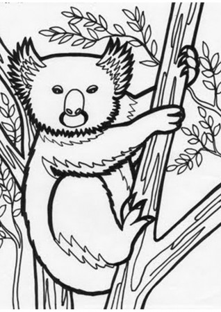 Jungle Coloring Pages | Coloring Pages