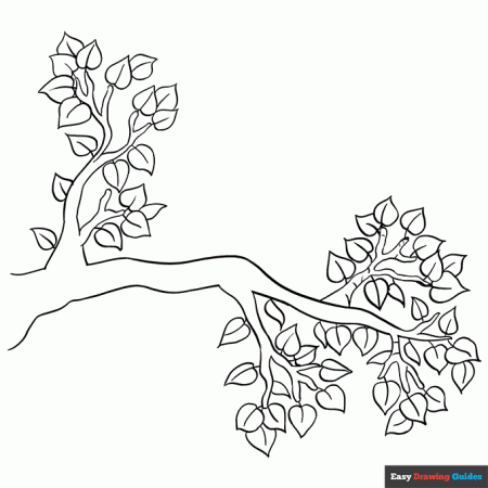 Tree Branch - Easy Drawing Guides