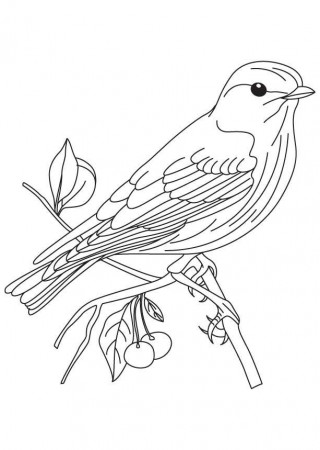 Blue Bird Cartoon - AZ Coloring Pages | Zeichnungen, Vögel zeichnen