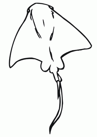Stingray coloring pages | Coloring pages to download and print