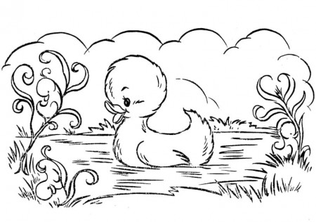 Duckling Coloring Pages - Free Printable Coloring Pages for Kids
