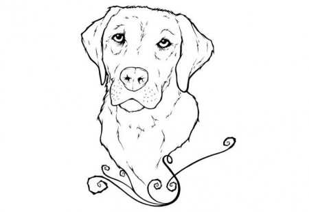 27+ Amazing Picture of Golden Retriever Coloring Page - albanysinsanity.com  | Dog coloring page, Puppy coloring pages, Dog coloring book