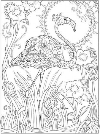 Flamingo Coloring Pages | 100 Pictures Free Printable
