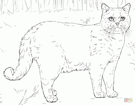 100 Free Cat Coloring Pages (For Kids & Adults) - Artsy Pretty Plants