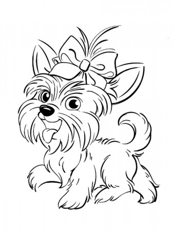 Yorkshire Terrier coloring pages